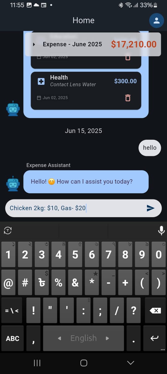 Screenshot: Text input in ChatExpense