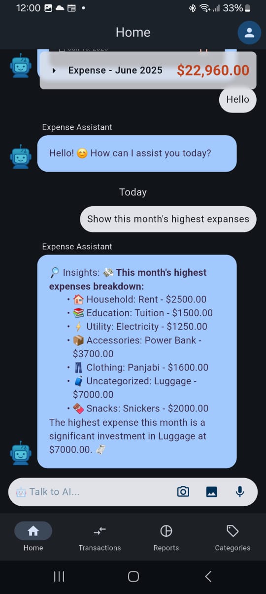 Screenshot: AI Query in ChatExpense